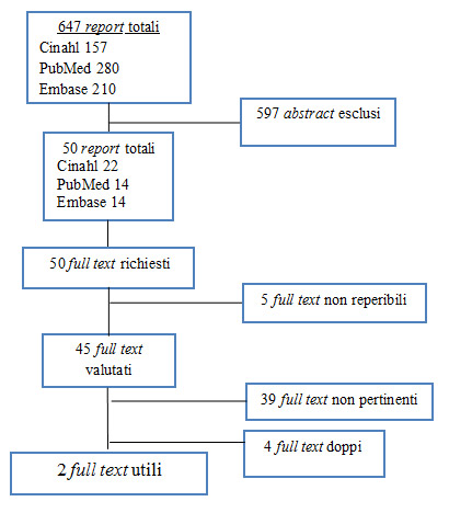 Figura 1 - Flow chart della ricerca bibliografica