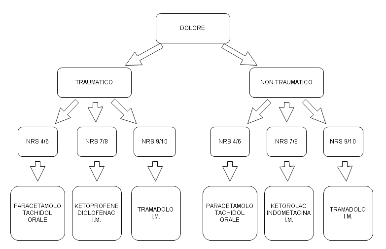 Figura 2 - Terapia farmacologica prevista dal protocollo