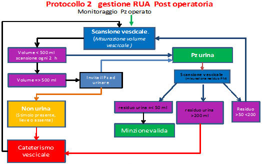 Protocollo 2, gestione della RUA post operatoria