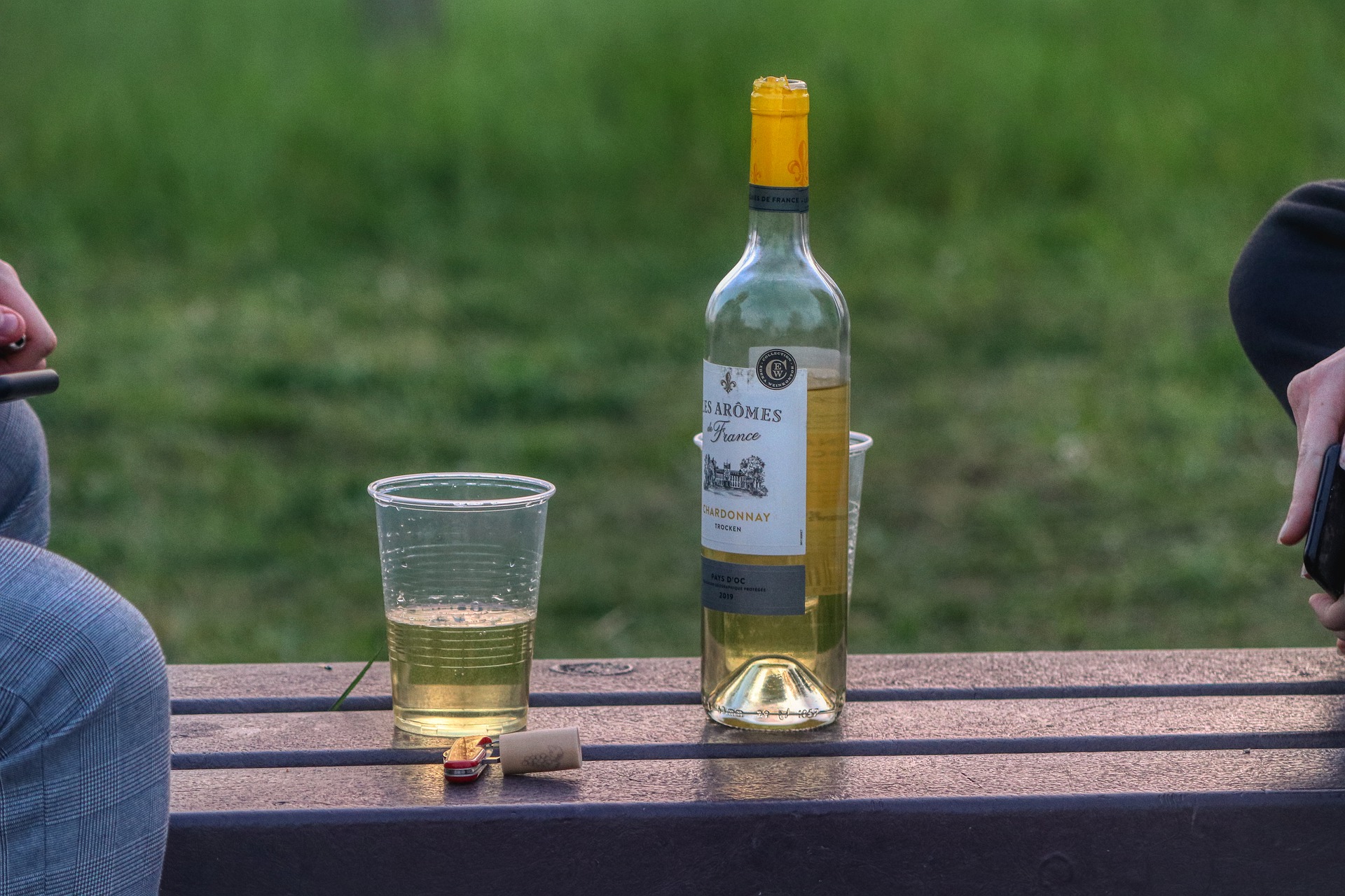 Strumenti per la prevenzione dell’abuso di alcol e droga  negli adolescenti. Una revisione della letteratura