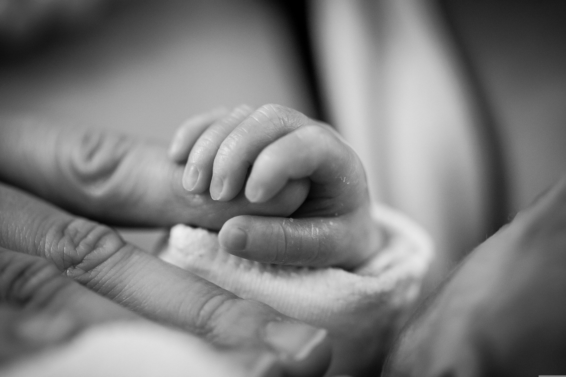 Il Percorso Nascita per le Cardiopatie Congenite:  dalla diagnosi prenatale all’età adulta