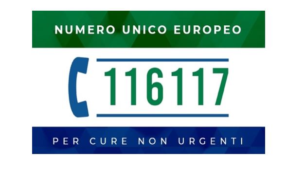 Domanda di salute sul territorio e sovraffollamento nei DEA, un numero unico come chiave di integrazione nella sanità di prossimità: analisi della letteratura